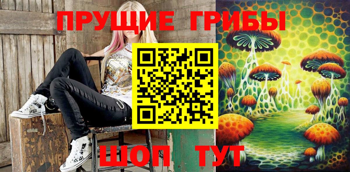 Псилоцибиновые грибы ЛСД Кисловодск